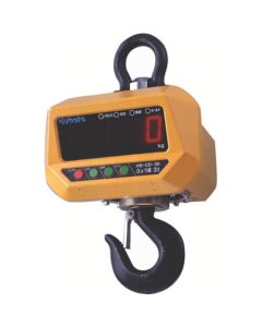 Hoist Scale 1อัน