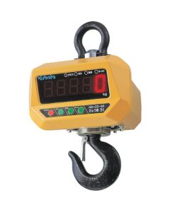 Hoist Scale 1อัน