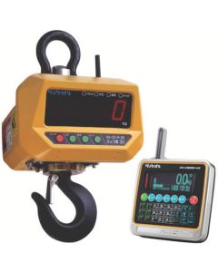 Hoist Scale 1อัน