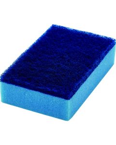 Kitchen Sponge Hard