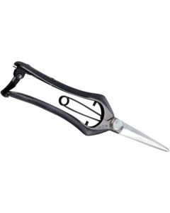Pruning Shears 1อัน