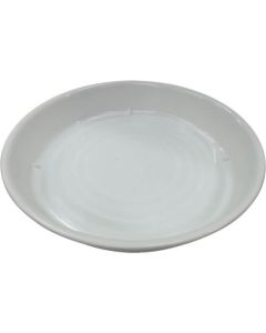 a saucer