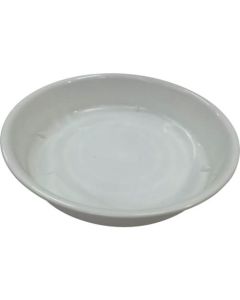 a saucer