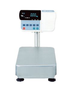Digital Platform Scale 1อัน