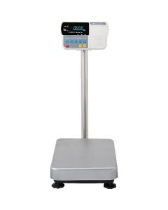 Digital Platform Scale 1อัน