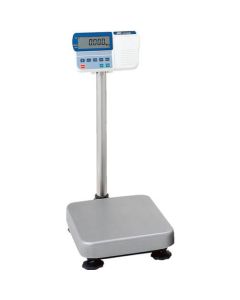 Digital Platform Scale 1อัน