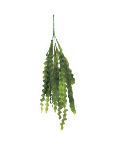 Relair leaf bush