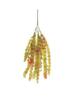 Relair leaf bush