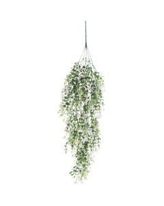 Relair leaf bush