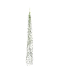 Relair leaf bush
