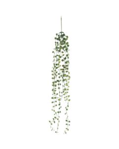 Relair leaf bush