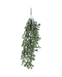 Relair leaf bush