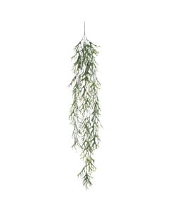 Relair leaf bush