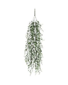 Relair leaf bush