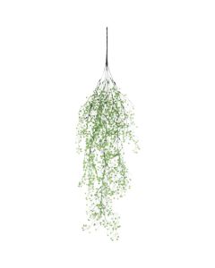 Relair leaf bush