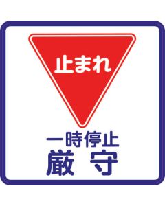 Commercial Parking Graphics Film Generation- (R2)
