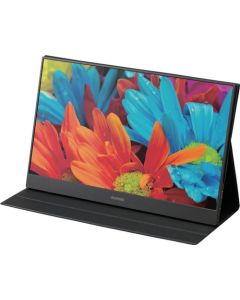 Portable Monitor