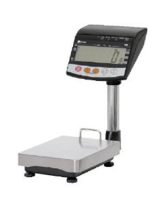 Digital platform scale 1อัน