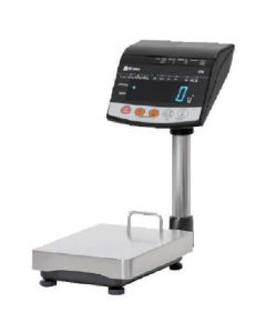Digital platform scale 1อัน