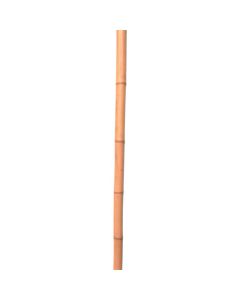 bamboo 10เส้น