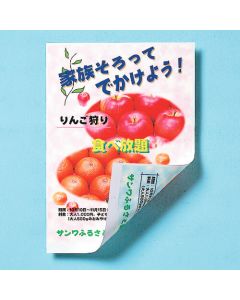 JP-ERV5NB5 ชุดละ 20แผ่น