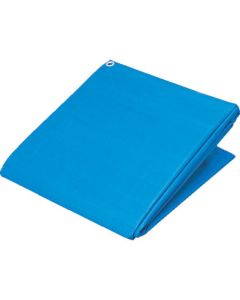 Jumbo Sheet #3000