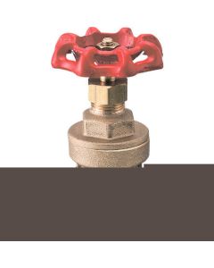 Gate Valve 1อัน