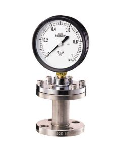 Diaphragm Seals Pressure Gauge BF type 1อัน