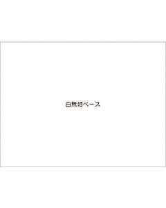 KG-1205 1อัน