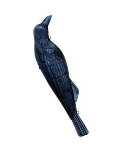Imitation Crow