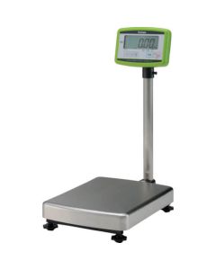 Digital Platform Scale 1อัน