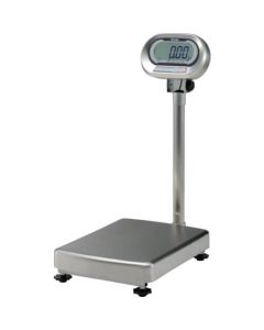 Digital Platform Scale 1อัน