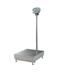 Digital Platform Scale 1อัน