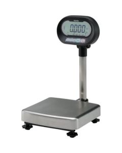 Digital Platform Scale 1อัน