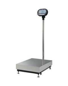 Digital Platform Scale 1อัน