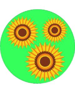 KS-123 1แผ่น