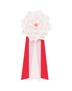 อินซิกเนีย ซอสกุหลาบ 3 ดอก (ใหญ่พิเศษ) สีขาว