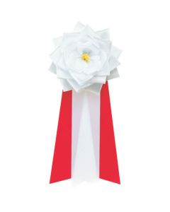 Insignia 12อัน