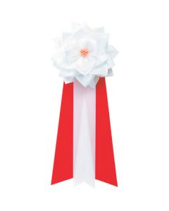 Insignia 20อัน