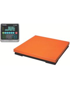 Digital Platform Scale 1อัน
