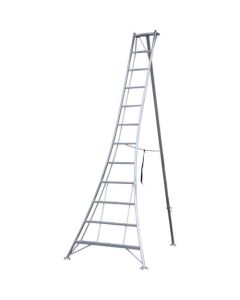 Tripod Ladder