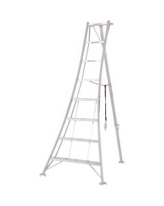 Tripod Ladder