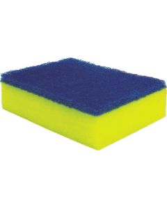 Kitchen Sponge Hard