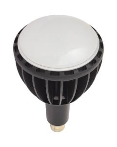 LED Light Bulb 1อัน
