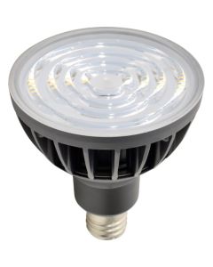 LED Light Bulb อันละ 1 อัน