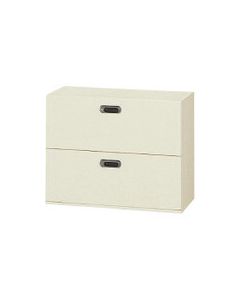 LX-5 ที่เก็บของด้านข้าง 2 ชั้น L5-A70H-2 LGY (615964)