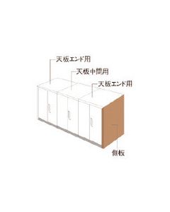 L6-NPS1145-R T2 1อัน