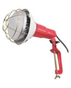 Floodlight 1อัน