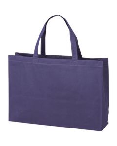 Nonwoven Handbag ถุงละ 10แผ่น