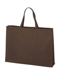 Nonwoven Handbag ถุงละ 10แผ่น
